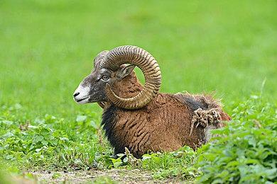 漫改游戏《五等分的花嫁 回忆 VR ~五月~》 现已在Steam发售