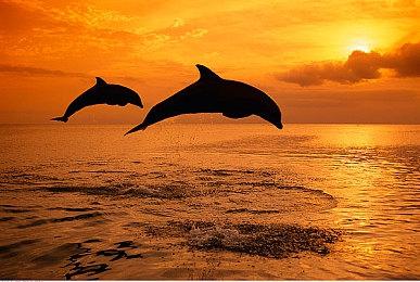 《上古卷轴5：天际》大量新消息：周年版、次世代升级和加入钓鱼